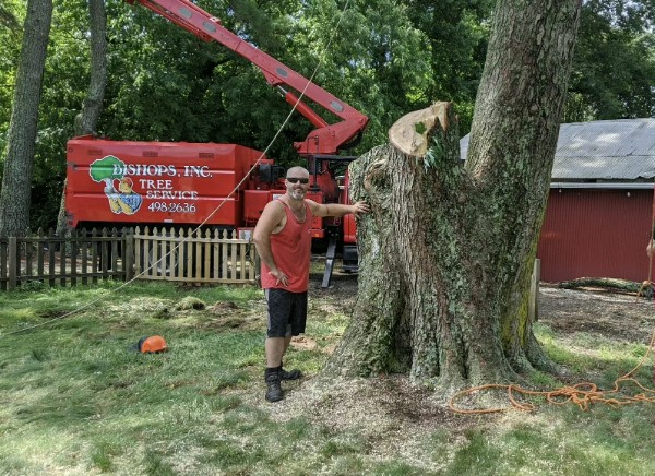 Bishops Tree Service crew member beside a large trunk with the branded bucket truck
