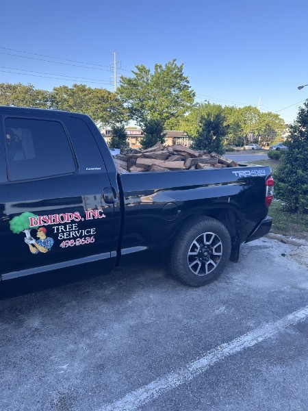 Bishops Tree Service branded pickup loaded with seasoned firewood