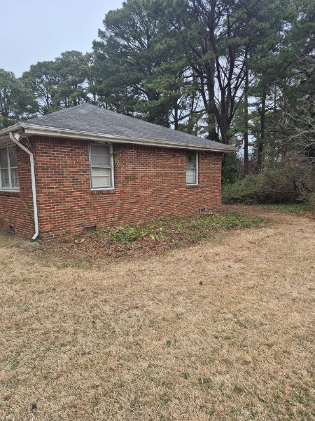 Yard after professional tree removal