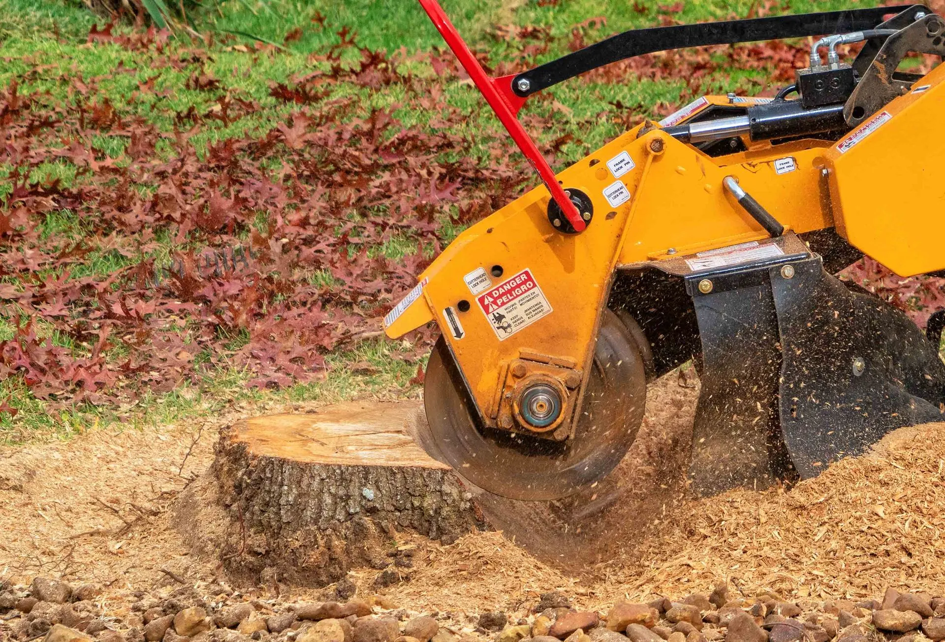 Stump grinder machine grinding a large tree stump